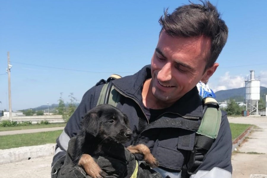 Intervenție în Baia Mare: Pompierii au salvat un cățel fără stăpân pe strada Iazului. Căzuse într-un canal. A fost imediat adoptat de o doamnă! (VIDEO ȘI FOTO)