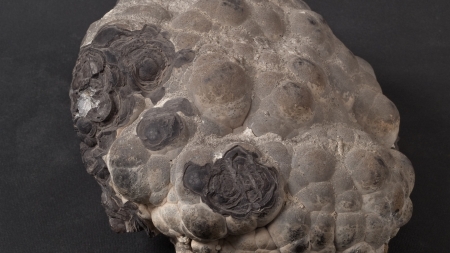 Frumusețile Maramureșului: Un eșantion fabulos de arsen din Cavnic originar este în prezent exponatul săptămânii la Muzeul de Mineralogie din Baia Mare! (FOTO)