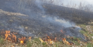 Statistică oficială în Maramureș!: În județul nostru, în șapte luni, s-au înregistrat 31 de incendii de vegetație uscată, dar și de pădure!