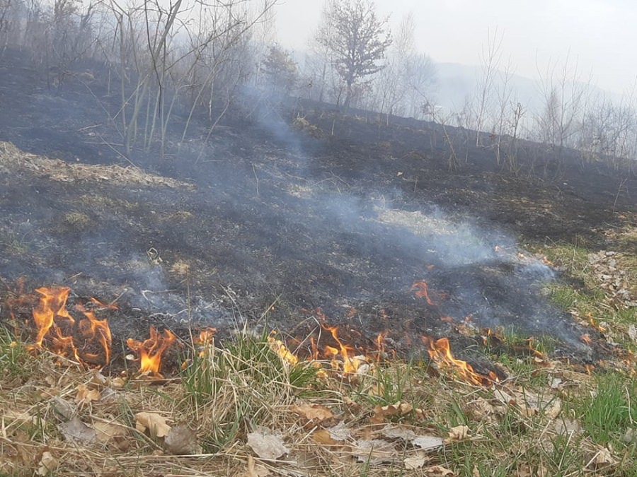Statistică oficială în Maramureș!: În județul nostru, în șapte luni, s-au înregistrat 31 de incendii de vegetație uscată, dar și de pădure!