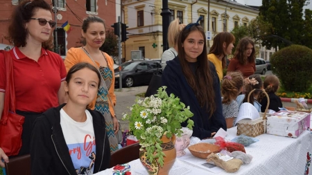Inițiativă superbă în Maramureș: Elevii Colegiului „Regele Ferdinand” din Sighetu Marmației adună bani pentru Cătălina, o colegă cu probleme de sănătate (FOTO)