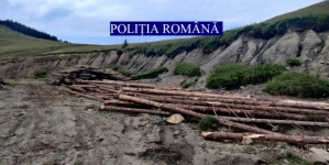 Verificări în județul Maramureș: Controale foarte importante în 9-13 august, în regiunea noastră! 17 infracțiuni constatate plus amenzi aplicate de 176.000 lei