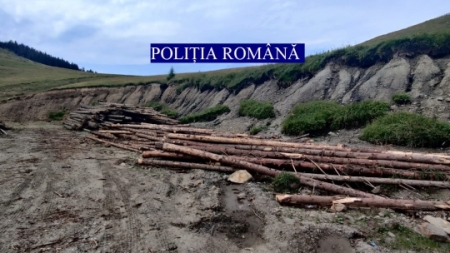 Verificări în județul Maramureș: Controale foarte importante în 9-13 august, în regiunea noastră! 17 infracțiuni constatate plus amenzi aplicate de 176.000 lei