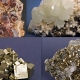„Magia cristalelor” – expoziție aniversară cu flori de mină din Maramureș, vernisată la Tulcea