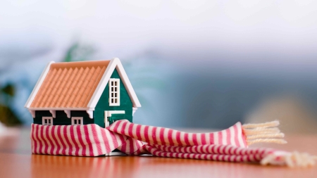 Vești bune pentru români: Sprijin pentru maramureșenii cu venituri mici! Iată ce conține, detaliat, Legea Consumatorului Vulnerabil! Ea a fost acum promulgată!