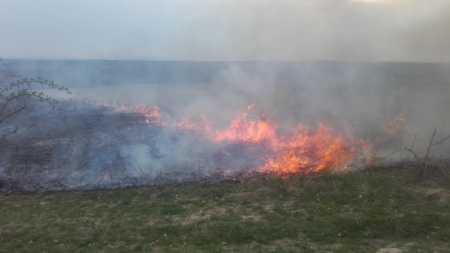 Care sunt măsurile de prevenire a incendiilor de vegetație uscată