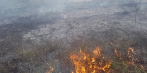 Pompierii militari s-au luptat cu 174 de incendii de vegetație declanșate pe fondul caniculei