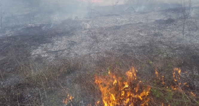 Pompierii militari s-au luptat cu 174 de incendii de vegetație declanșate pe fondul caniculei