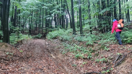 Actualizare 2: Alerta duminicală: În județul Maramureș un grup alcătuit din cinci turiști s-a rătăcit între Nistru și Băița (VIDEO ȘI FOTO)