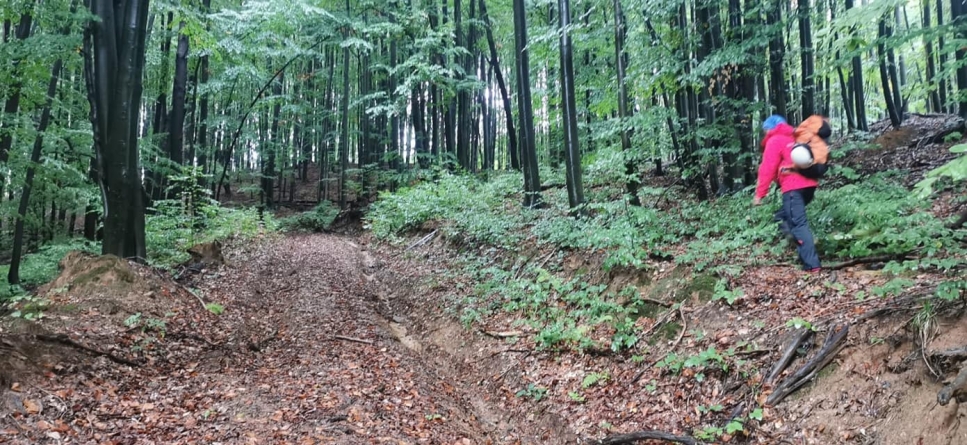 Actualizare 2: Alerta duminicală: În județul Maramureș un grup alcătuit din cinci turiști s-a rătăcit între Nistru și Băița (VIDEO ȘI FOTO)