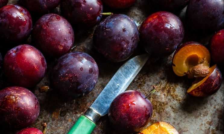 Alimentație și gastronomie tradițională: Prunul era nelipsit din gospodăriile maramureșenilor