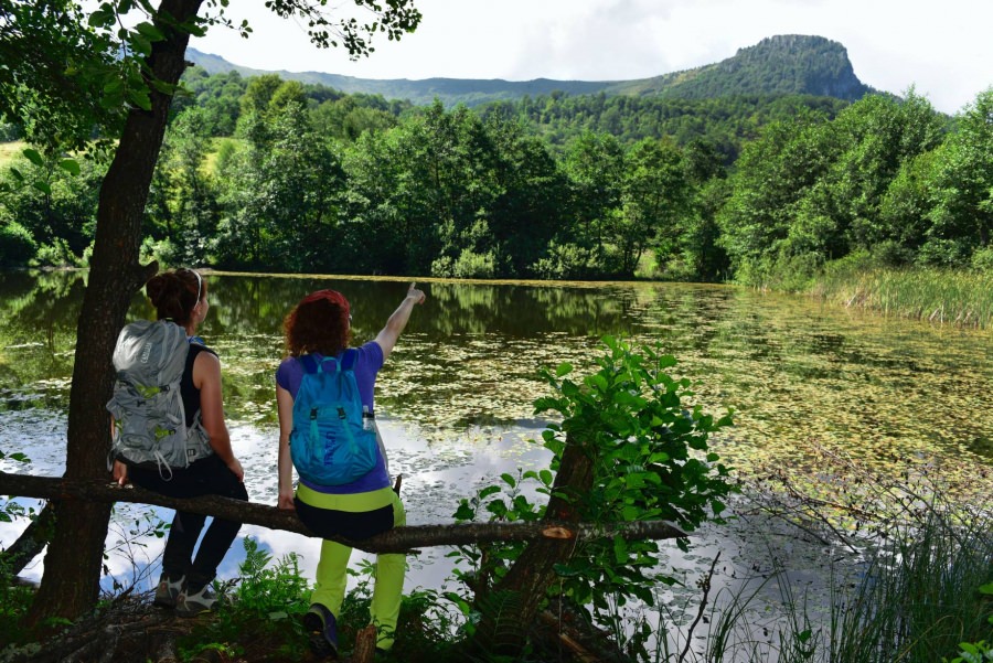 Frumusețile Maramureșului: Tăul Morărenilor este o arie protejată turistică situată chiar în apropierea Crestei Cocoșului. Are o faună și floră speciale (FOTO)
