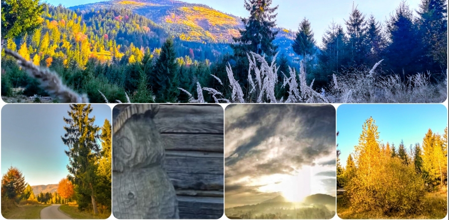 „Spune-ți povestea prin poze”: Concurs de fotografie, cu premii, destinat elevilor Liceului Teoretic ,,Bogdan-Vodă” din Vișeu de Sus