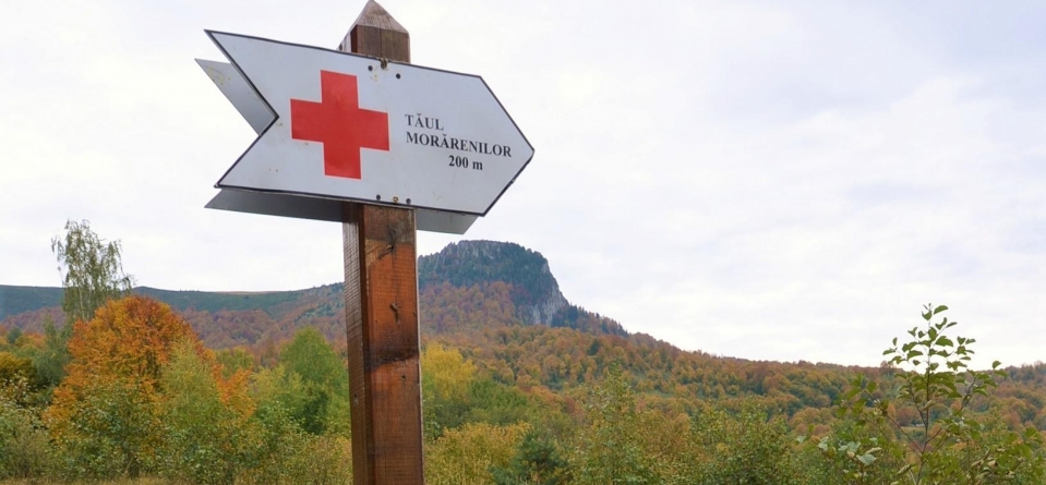 Eco Maramureș: Ariile naturale protejate aduse în atenția turiștilor