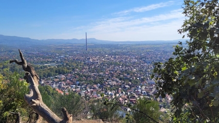 Ediția cu nr 13: În Baia Mare anunț important cu privire la recensământul populației și locuințelor. Sunt deschise în municipiu acum 4 puncte fixe!