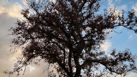 Vremea exactă în Maramureș, luni, 18 octombrie