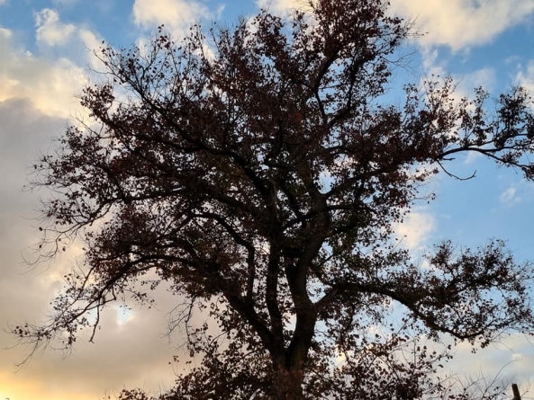 Vremea exactă în Maramureș, luni, 18 octombrie