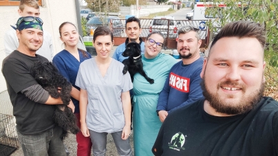 Pentru ai noștri prieteni: În județul Maramureș anunț important pentru iubitorii de pisici dar și câini! Campanie de sterilizări gratuite, la mijloc de martie!