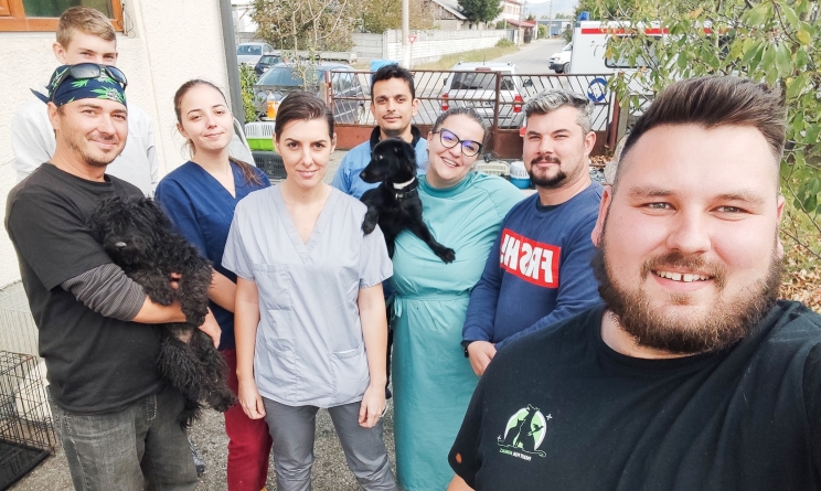 Acțiune pentru prietenii noștri:În județul Maramureș 283 animale sterilizate, în 7-8, 9-10 octombrie, în campania derulată în Copalnic-Mănăștur și Recea (FOTO)