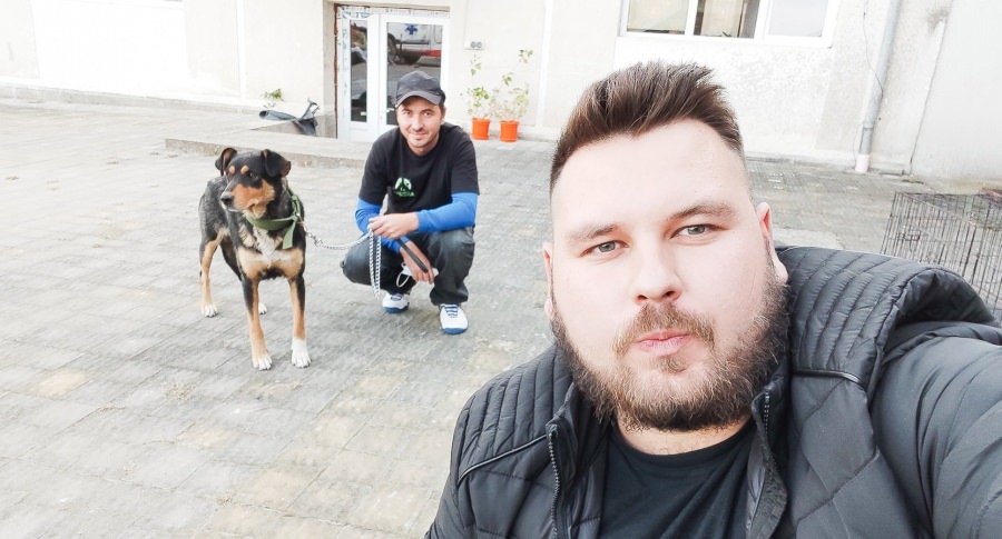 Poți fi de folos: Fight For Animals Baia Mare, cunoscuta asociație care apără drepturile necuvântătoarelor, are nevoie de ajutorul nostru, în această perioadă!