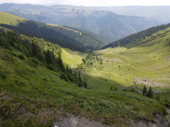 Vremea exactă în Maramureș, miercuri, 10 august