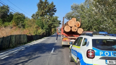 Transporturile de lemn din pădure pe timp de noapte sunt de acum interzise. Reglementări importante pentru industria lemnului