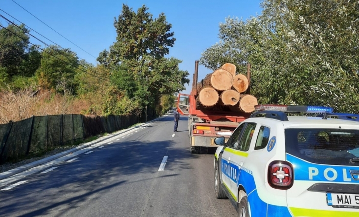 Acțiune pe linia tăierii și transportului ilegal de arbori; S-a lăsat cu amenzi