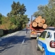 Maramureș: Sute de amenzi date pentru infracțiuni silvice în primele opt luni ale anului