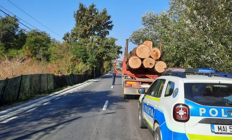 Maramureș: Sute de amenzi date pentru infracțiuni silvice în primele opt luni ale anului