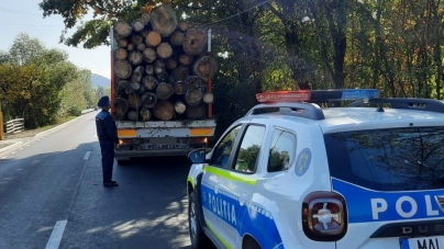 Puși la plată pentru transport ilegal de lemne