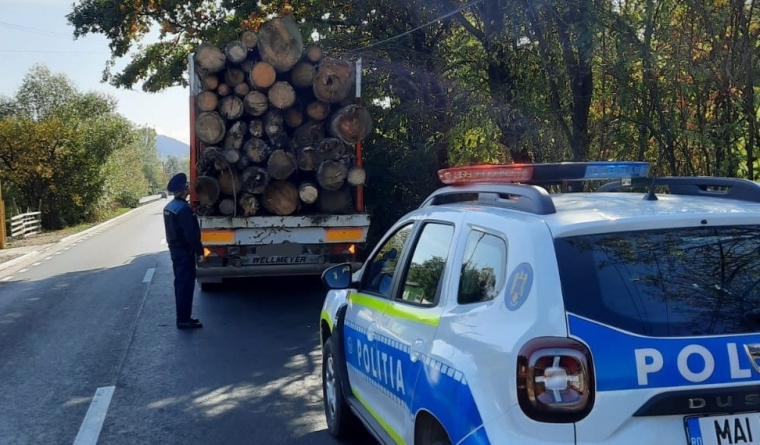 Puși la plată pentru transport ilegal de lemne