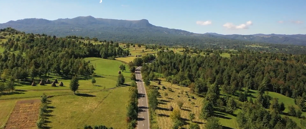 Premiul Special pentru „Drumul Patrimoniului Muzeal Maramureșean” obținut la Atena