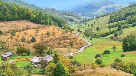 Statistică 17 noiembrie România: În județul Maramureș evidență nouă a cazurilor cu noul coronavirus! 1242 în interval de 2 săptămâni! Vezi lista pe localități!