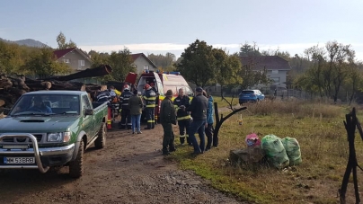 Alertă forțe de intervenție: În județul Maramureș, strada Viilor din Tăuții de Sus, muncitor forestier rănit după ce a căzut arborele fix pe el!(VIDEO ȘI FOTO)