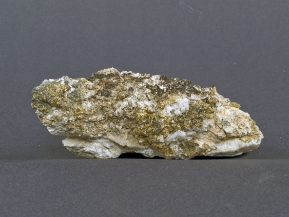 Aur, blendă, cuarț din Mina Cavnic este exponatul săptămânii la Muzeul de Mineralogie Baia Mare