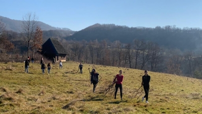 Proiect nou la Muzeul Maramureșan: ”Împrejmuim Muzeul satului maramureșean – curățiri arboricole și plantări de puieți de molid”