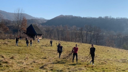 Proiect nou la Muzeul Maramureșan: ”Împrejmuim Muzeul satului maramureșean – curățiri arboricole și plantări de puieți de molid”