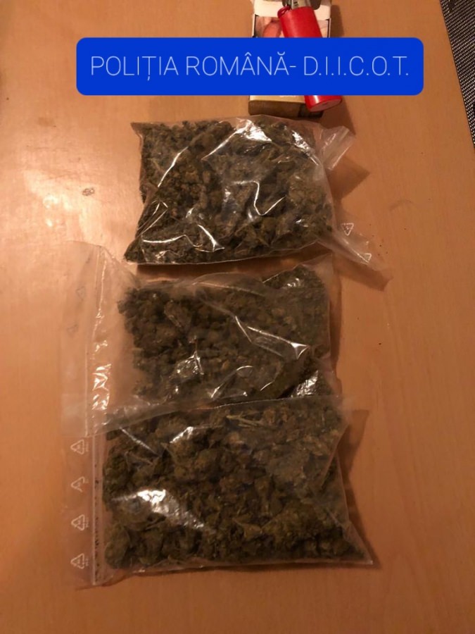 Maramureș: Percheziții la traficanți de droguri; Polițiștii au confiscat cocaină, cannabis și alte ustensile folosite în „afacere”