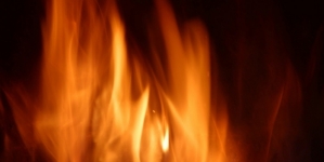 Cabană arsă și mai multe tractoare forestiere distruse; Ce spune IPJ Maramureș despre cazul de azi-noapte de pe Valea Vaserului