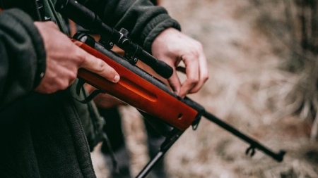 Biroul pentru Protecția Animalelor, percheziții la Săliștea de Sus; Un câine a fost ucis cu o pușcă