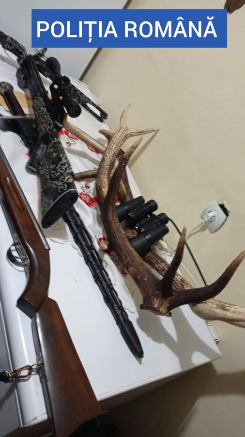Percheziții în Borșa la un tânăr de 23 de ani; Polițiștii au găsit mai multe trofee de căprior, coarne de cerb și arme