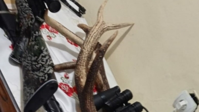 Percheziții în Borșa la un tânăr de 23 de ani; Polițiștii au găsit mai multe trofee de căprior, coarne de cerb și arme