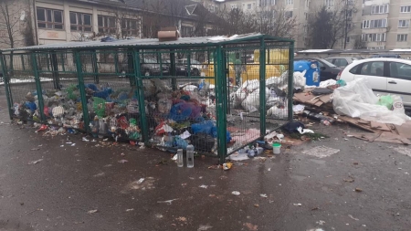 Salubrizare la nivel de Ev Mediu Timpuriu în Baia Mare