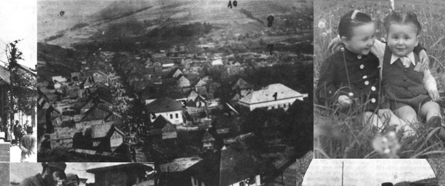 Despre comunitatea evreiască din Borșa – cât de mare era, cu ce se ocupa, cum a dispărut