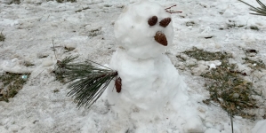 Bucuria iernii: Omuleți de zăpada la tot pasul în Baia Mare