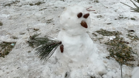 Bucuria iernii: Omuleți de zăpada la tot pasul în Baia Mare