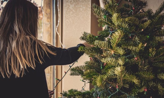 „Donează bradul de Crăciun”: Campanie de colectare a brazilor în Baia Mare; Unde pot fi duși aceștia