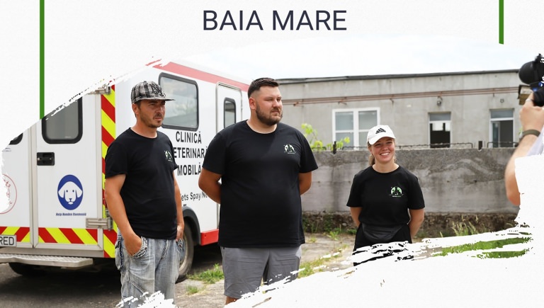 Un an de activitate: Fight For Animals Baia Mare, cunoscuta asociație care apără drepturile prietenilor noștri, împlinește astăzi un an de acțiuni pro suflete!