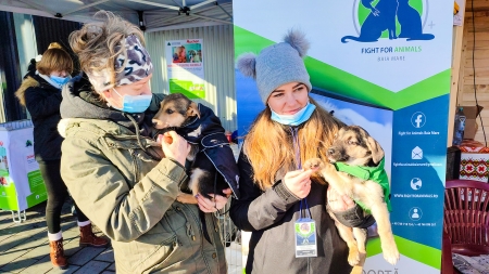 Special Fight For Animals: În județul Maramureș acțiunea prietenilor noștri este clar succes veritabil! Patru adopții locale, plus hrană și așternuturi! (FOTO)