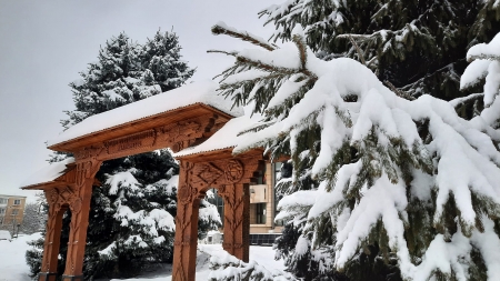 Iar numărul tot crește: În județul Maramureș 14 locuitori din 1000 în prezent sunt infectați cu COVID-19. Avem iarăși, nou record național!